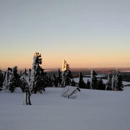 Bergblick - *