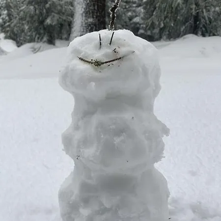 شقة Bergblick - *