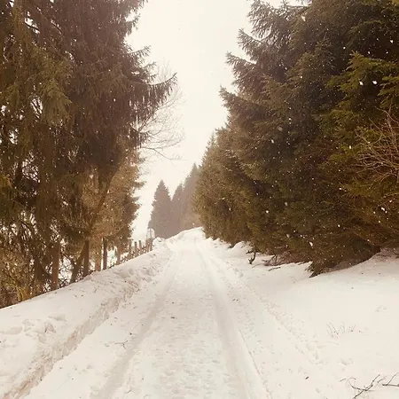 Apartment Bergblick - Oberwiesenthal